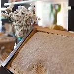 Hotell Horizon Wellness & - Western Signature Collection 4*